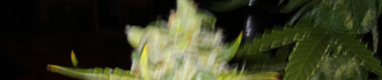 в т а р ь т е   с л о й о к