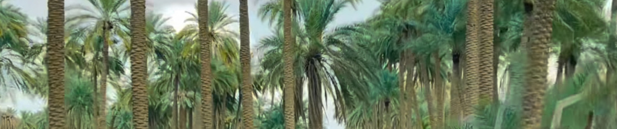 akram_94