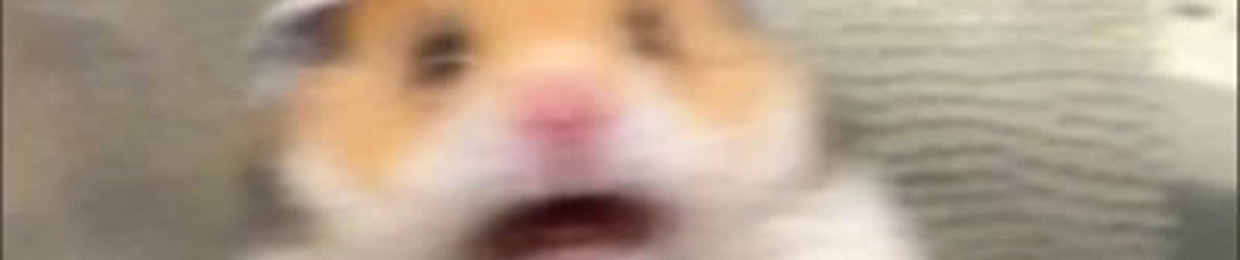 sam