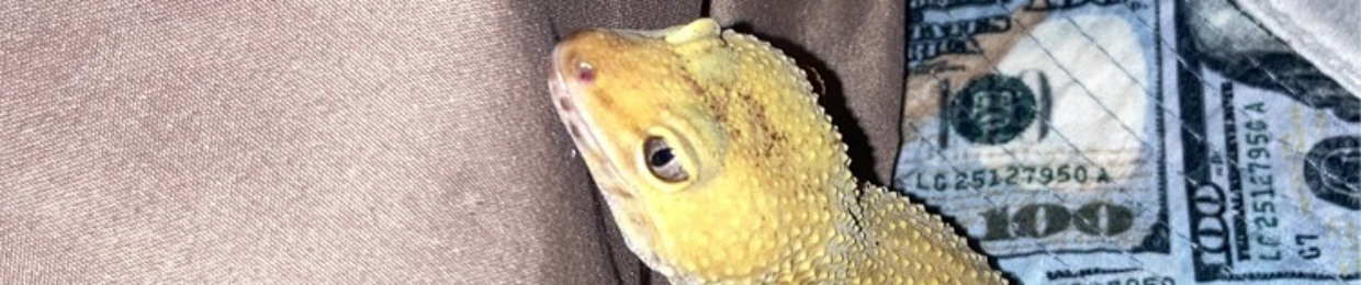 LIL P!CKLE