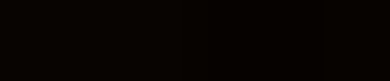 vvs