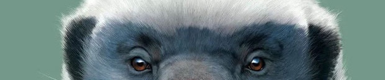 ĐỨC TÂM 2003 🔰