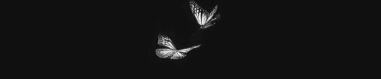 bassel sherif