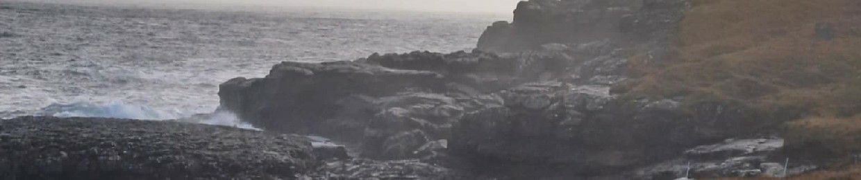 Weaponized Incompetence