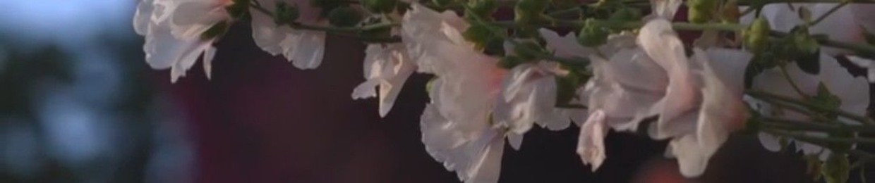 غاده