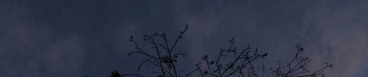 شِفاءٌ وَرَحمة