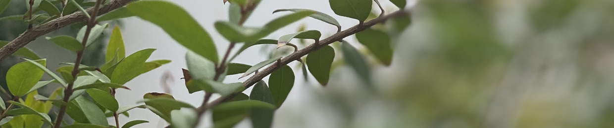 Ghaith Ahmed||غيث احمد