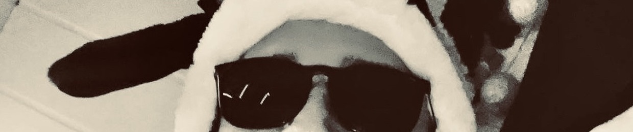 Muscha_306