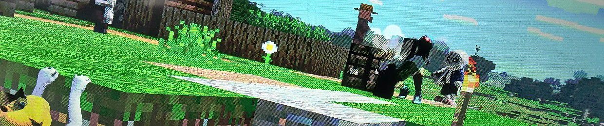 CreeperXYZ2009