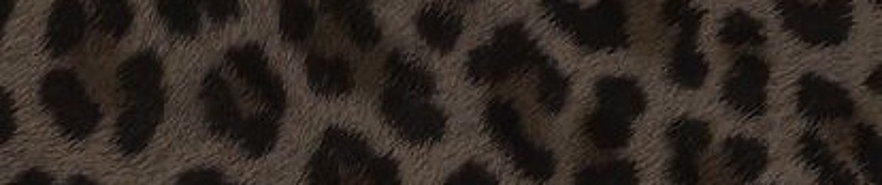 FUNNI   (##COr3/09 Coded)
