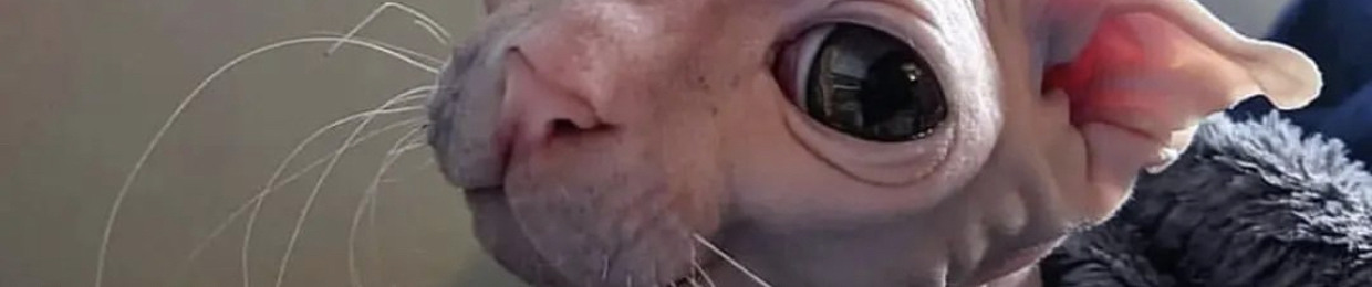 Mitraw