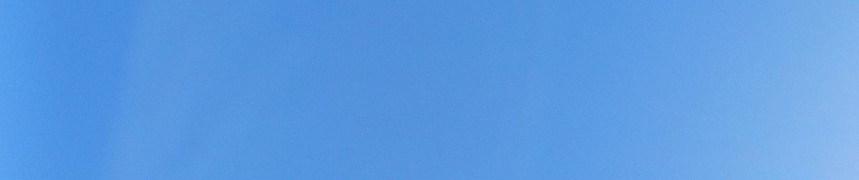 Mis sentidos me abandonan al mirar una flor