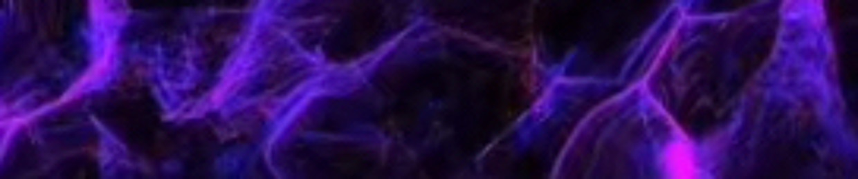 filippanzer