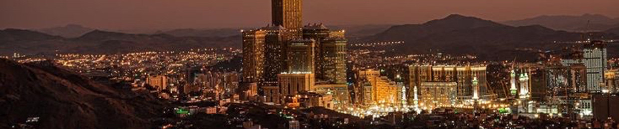 يوسف محمود