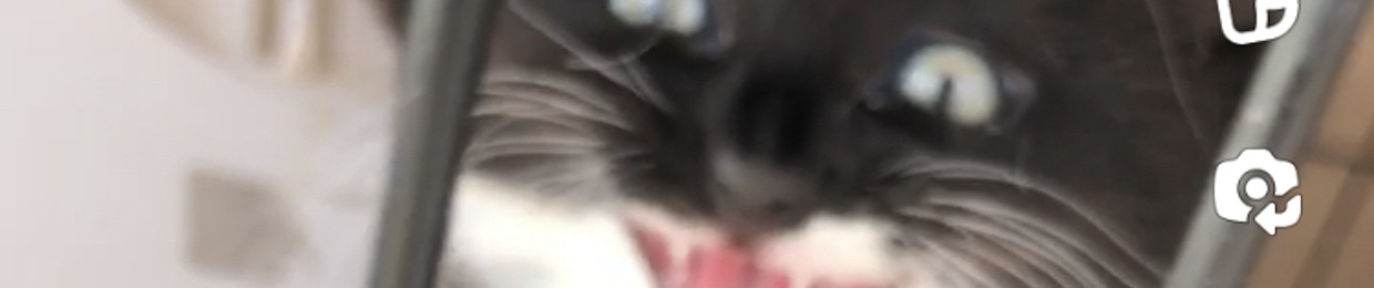 Stfu carpet muncher