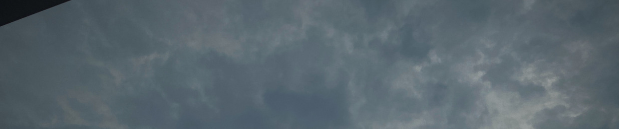 Raccoon