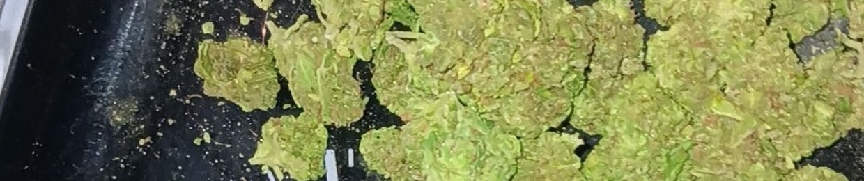 H💝