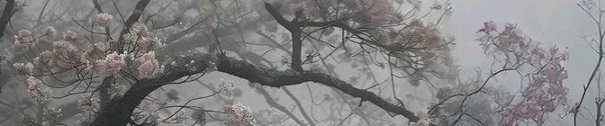 배리
