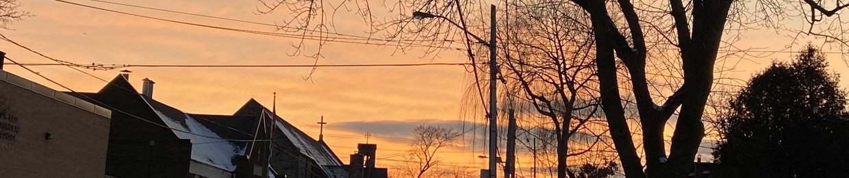 NOHUMAN ~ NINABONE OFFICIAL