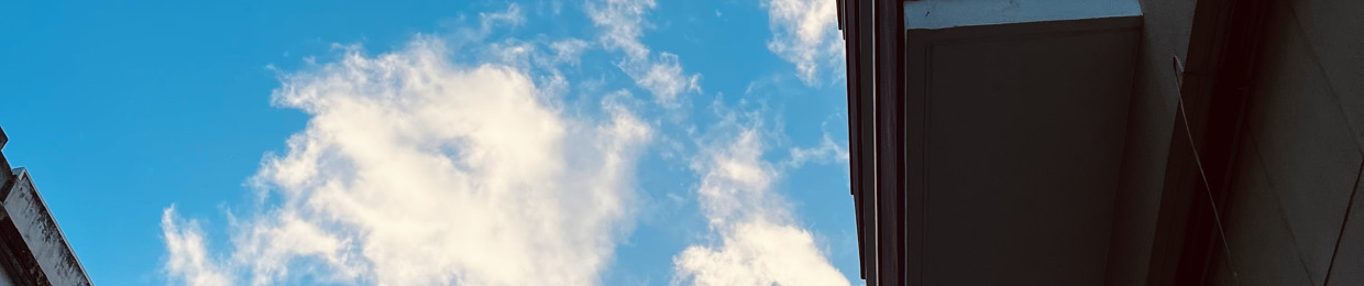 Alessandra Pitocchelli