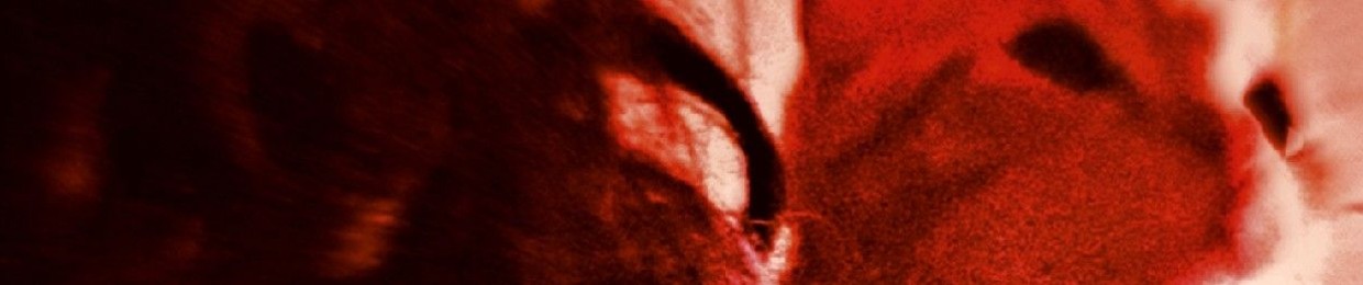 as tolices de beatrice