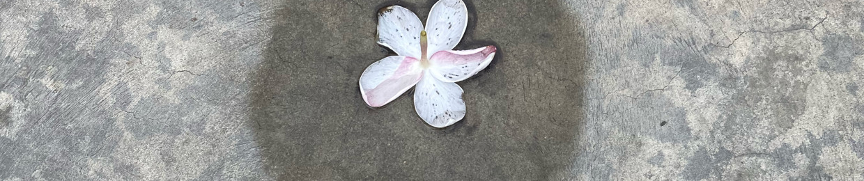 Fla