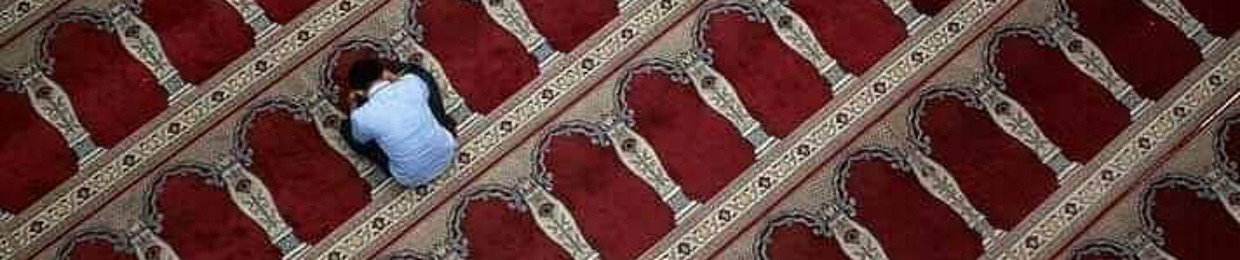 احمد رجب حسن