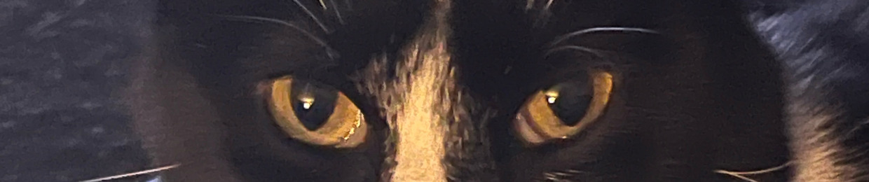 CatBlankt