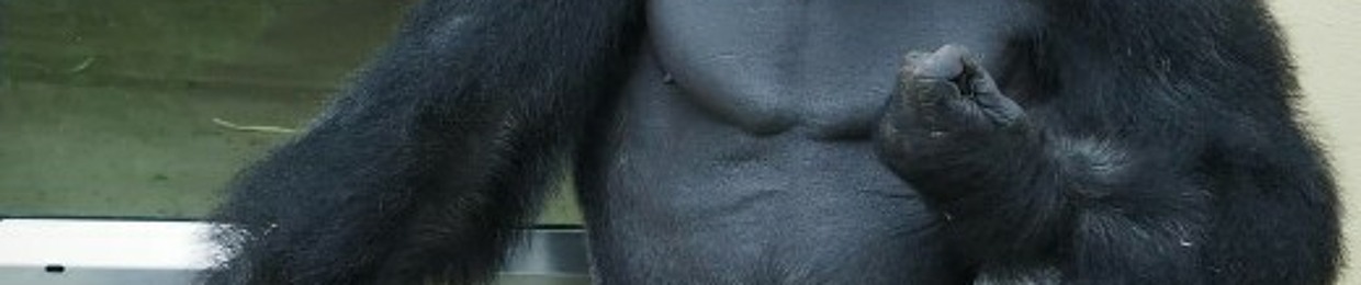AkaAhangar
