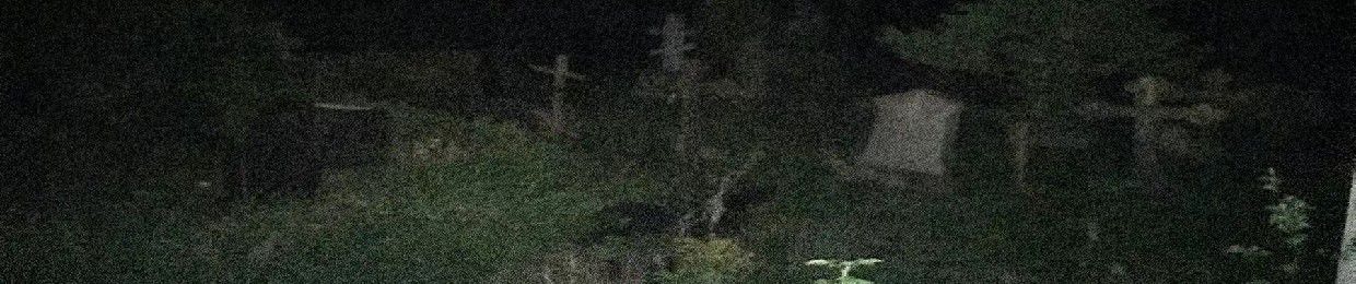 cross.stn