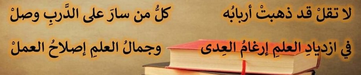 Amr Mohamed