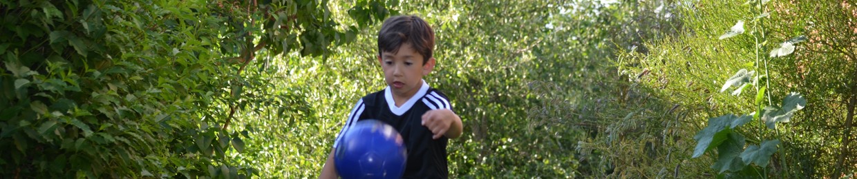 Sebastian Bertillio