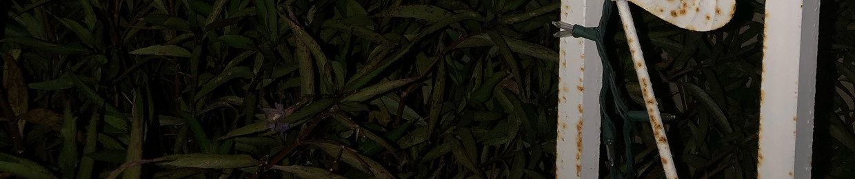 orangepeel73