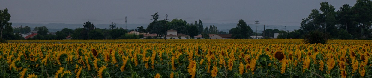 omeko