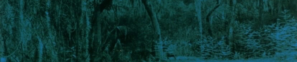 Ｋａｎａｓｈｉ ｂｏｙｚ  [ 虚 ]