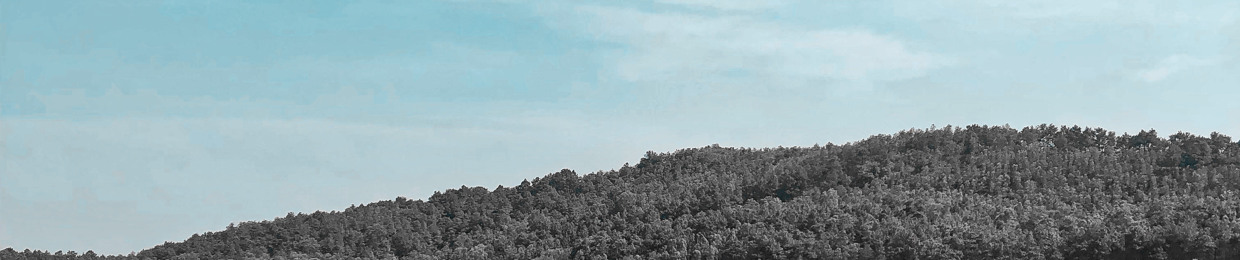Khương Đình Việt Anh