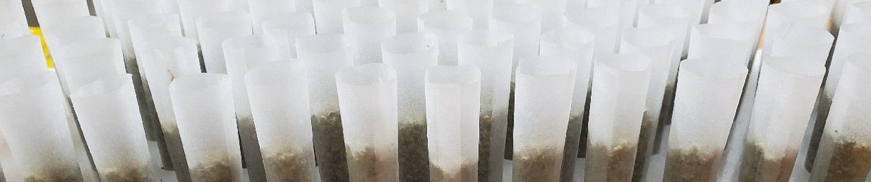Hemp Curator
