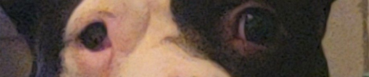 nick b
