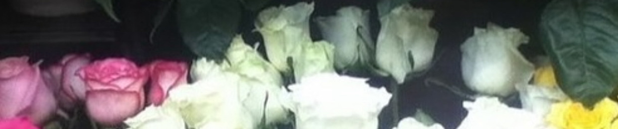 ‎ ‎ ‎ ‎ ‎ ‎ ‎ ‎ ‎ ‎ ‎ ‎ ‎ ‎ ‎ ‎ ‎ ‎