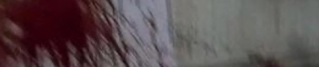 honestly im not a real person