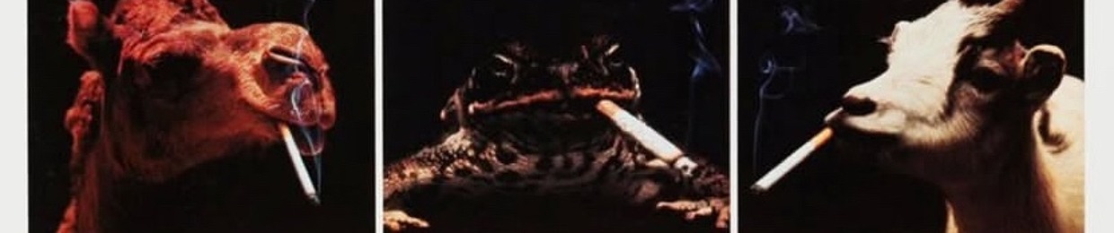 Multistory Parking Lot