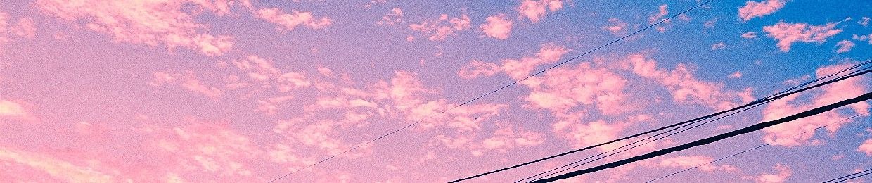 설연화