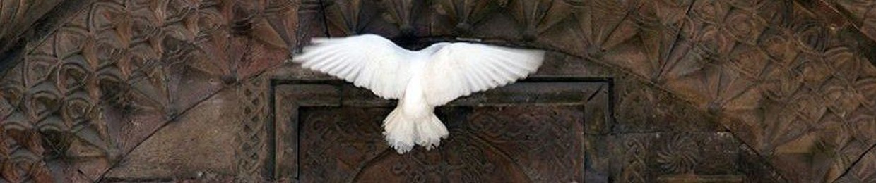 نَــمارِق بَشـير.
