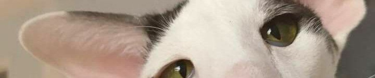 só as novas Tlgd rsrsrs