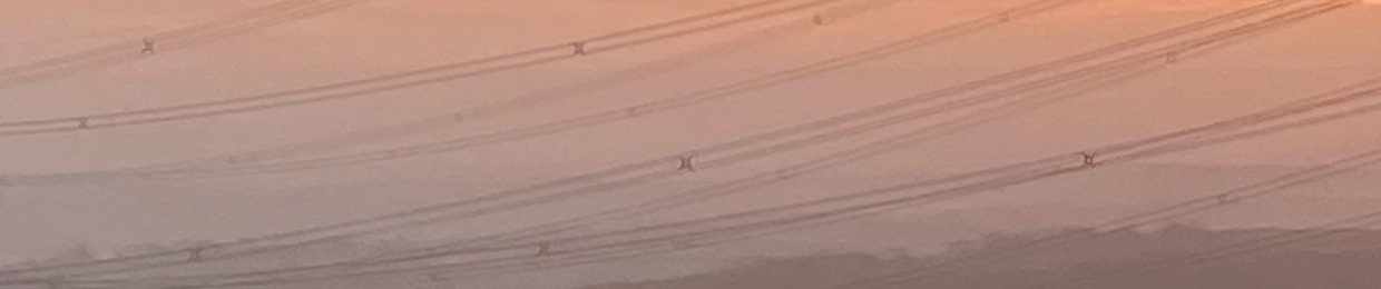 FELO