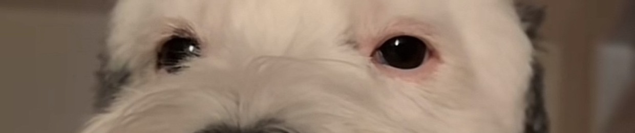Ay