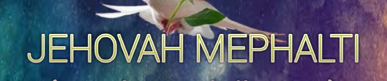 Shalom gy