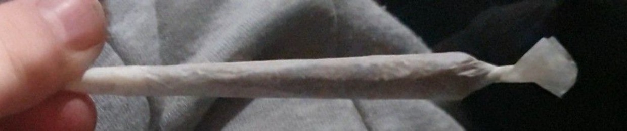 MC FOXX🦊🏴󠁧󠁢󠁳󠁣󠁴󠁿