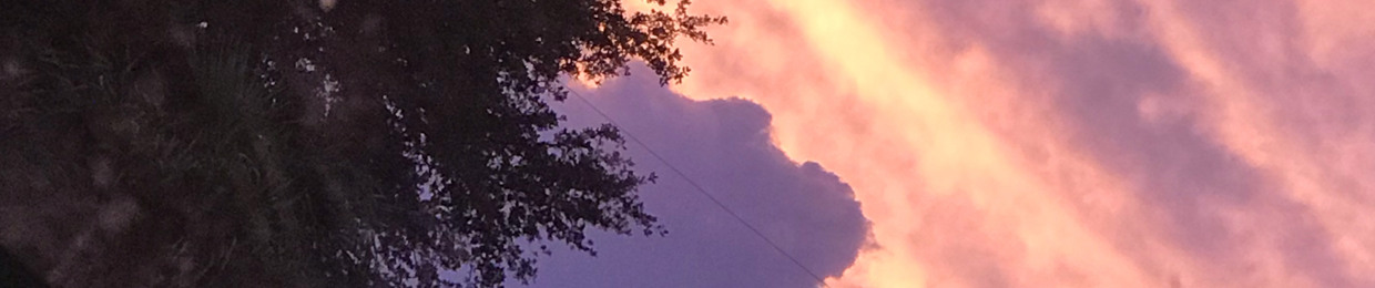 Sebastian Orsatelliz