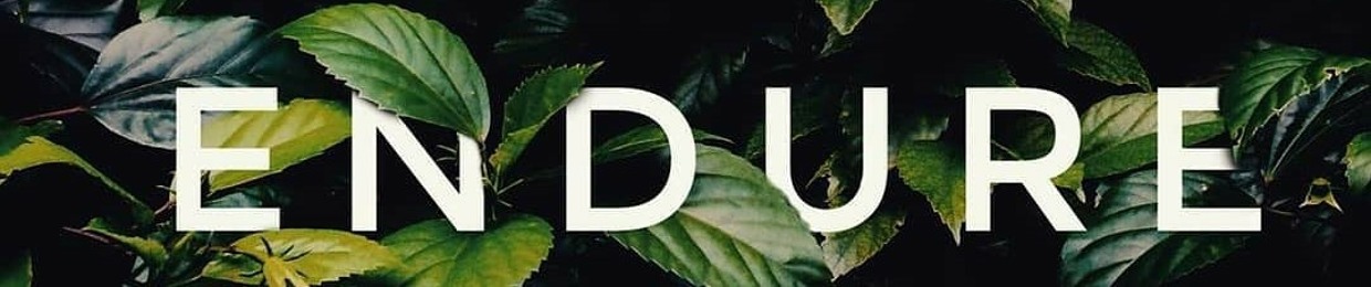 Tbankston - Sunshine